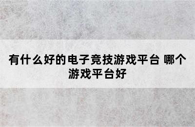 有什么好的电子竞技游戏平台 哪个游戏平台好